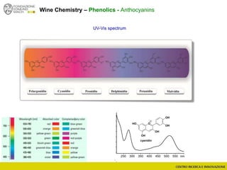 Wine Chemistry – Phenolics - Anthocyanins
UV-Vis spectrum
nm250 300 350 400 450 500 550
O
OH
HO
OH
OH
OH
cyanidin
 