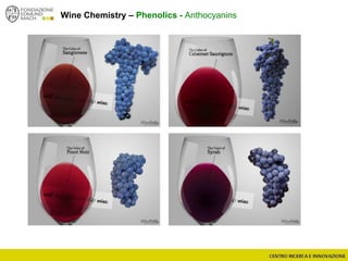 Wine Chemistry – Phenolics - Anthocyanins
 