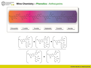 Wine Chemistry – Phenolics - Anthocyanins
O
+
O
OH
OH
OH
O
O OH
OH
OH
OH
O O
+
OH
OH
OH
OH
O
O OH
OH
OH
OH
OH
O
+
O
OH
OH
OH
O
O OH
OH
OH
OH
O
+
OH
OH
OH
OH
O
O OH
OH
OH
OH
O
+
O
OH
OH
OH
O
O OH
OH
OH
OH
OH
+
+ +
 