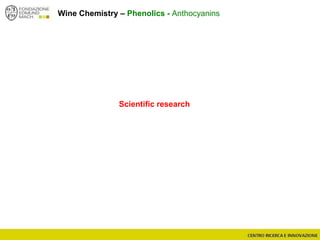 Wine Chemistry – Phenolics - Anthocyanins
Scientific research
 
