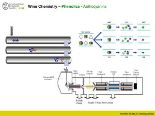 Wine Chemistry – Phenolics - Anthocyanins
 