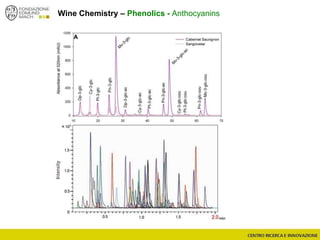 Wine Chemistry – Phenolics - Anthocyanins
 