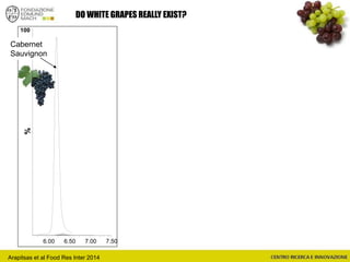 DO WHITE GRAPES REALLY EXIST?
6.00 6.50 7.00 7.50
%100
Cabernet
Sauvignon
Arapitsas et al Food Res Inter 2014
 