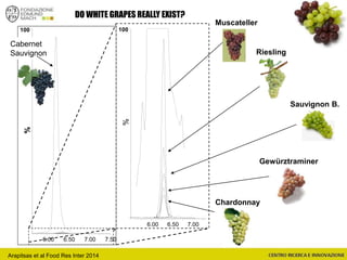DO WHITE GRAPES REALLY EXIST?
6.00 6.50 7.00 7.50
%100
%
100
6.00 6.50 7.00
Chardonnay
Riesling
Sauvignon B.
Gewürztraminer
Muscateller
Cabernet
Sauvignon
Arapitsas et al Food Res Inter 2014
 