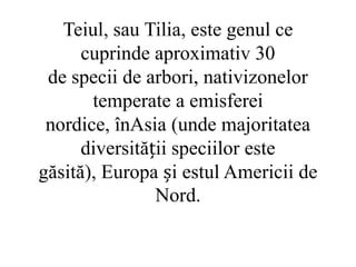 Teiul, sau Tilia, este genul ce
      cuprinde aproximativ 30
 de specii de arbori, nativizonelor
       temperate a emisferei
 nordice, înAsia (unde majoritatea
      diversității speciilor este
găsită), Europa și estul Americii de
                Nord.
 