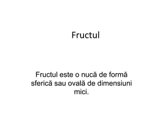 Fructul


 Fructul este o nucă de formă
sferică sau ovală de dimensiuni
              mici.
 