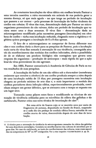 As constantes inoculações do vírus rábico em coelhos levaria Pasteur a
uma terceira assertiva: a raiva encontrada em animais de rua poderia gerar a
mesma doença, só que mais aguda - no que tange ao período de incubação
que passava a ser menor - pelo processo de inoculação do bulbo virulento do
coelho em cobaias. O vírus das ruas, denominação dada por Pasteur ao micro-
organismo proveniente do cão raivoso, tinha um período de incubação que va-
riava entre uma e duas semanas. O vírus fixo - denominação dada ao
microorganismo modificado pelas sucessivas passagens (inoculações) em cére-
bros de coelho - tinha essa incubação reduzida, chegando entre a vigésima e vi-
gésima quinta passagem a incubação de 6 a 8 dias apenas.
O fato de o microorganismo se comportar de forma diferente nos
cães e nos coelhos daria a chave para as pesquisas de Pasteur, pois a incubação
mais curta do vírus fixo somada à atenuação de sua virulência, conseguida atra-
vés do envelhecimento das medulas dos coelhos infectados, abria a possibilida-
de de se elaborar um produto biológico não contagioso que gerava uma
resposta do organismo - produção de anticorpos - mais rápida do que a ação
letal do vírus proveniente do cão agressor.
Em 1885, Pasteur comunicaria à Academia de Ciências de Paris os no-
vos resultados de suas pesquisas.
A inoculação do bulbo de um cão rábico sob a dura-máter (membrana
resistente que envolve o cérebro) de um coelho produzia sempre a raiva depois
de uma incubação média de 15 dias; por passagens sucessivas esta incubação
chegava ao período mínimo de sete dias e, o mais importante: a medula dos
coelhos portadores desta infecção rábica, experimentalmente produzida, conti-
nham sempre um germe idêntico, que se atenuava com o tempo se exposto em
um lugar seco.
Tomando como pilares estes fatos e modificando as técnicas de ate-
nuação de virulência utilizadas para os micróbios da cólera das galinhas e do
carbúnculo, Pasteur criou sua nova técnica de imunização de cães1 1
.
Em uma série de frascos cujo ar se mantém seco por meio de
fragmento de potassa, depositado no fundo do frasco, suspende-
se a cada dia um pedaço de medula rábica fresca; extraída de um
coelho morto de raiva, desenvolvida depois de sete dias de incu-
bação.
11 A técnica para a atenuação da virulência do microorganismo causador da cólera das galinhas
foi uma descoberta serendípica. Consistia no envelhecimento das culturas de micróbios por al-
guns dias. No caso do carbúnculo, ao invés do envelhecimento das culturas, estas eram aqueci-
das em temperatura de 42° ou 43° centígrados. Ver a esse respeito: V A L E R R Y - R A D O T , R . op. cit.
 