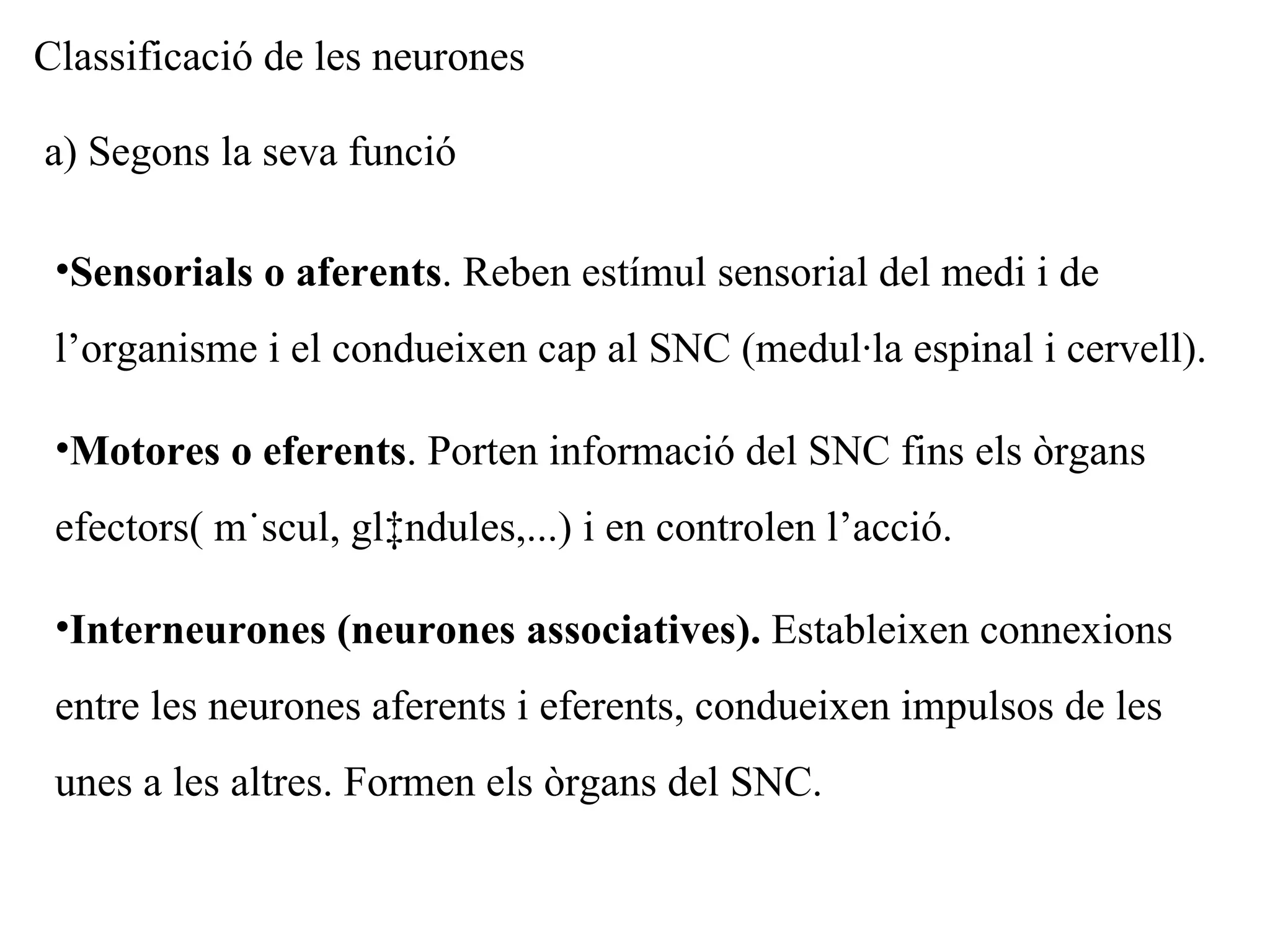 Classificació de les neurones a) Segons la seva funció Sensorials o aferents . Reben estímul sensorial del medi i de l’organisme i el condueixen cap al SNC (medul·la espinal i cervell). Motores o eferents . Porten informació del SNC fins els òrgans efectors( múscul, glàndules,...) i en controlen l’acció. Interneurones (neurones associatives).  Estableixen connexions entre les neurones aferents i eferents, condueixen impulsos de les unes a les altres. Formen els òrgans del SNC. 