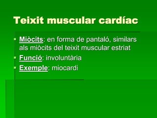 Teixit muscular cardíac
 Miòcits: en forma de pantaló, similars
als miòcits del teixit muscular estriat
 Funció: involuntària
 Exemple: miocardi
 