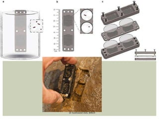 Dr Subhasish Deb, BMCH
 