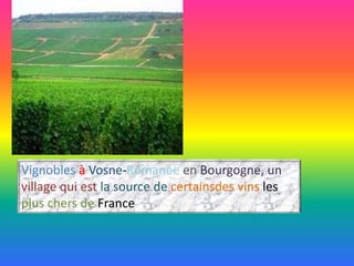 Vignobles à Vosne-Romanée en Bourgogne, un
village qui est la source de certainsdes vins les
plus chers de France

 