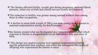  The famine affected fertility, weight gain during pregnancy, maternal blood
pressure, infant size at birth and central nervous system development.
The reduction in fertility was greater among manual workers than among
those in other occupations.
 A decline in mean birth weight of 300 g was seen among those exposed to
maternal undernutrition during the third trimester.
the famine created what can be regarded as a ‘natural experiment’ in which
exposure to famine is assigned based on an individual's time and place of
birth.
 This design was used to examine how maternal undernutrition during
specific gestational time windows may affect the subsequent life course of
offspring who experienced the famine in-utero.
 