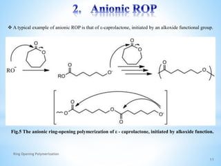 11
 A typical example of anionic ROP is that of ε-caprolactone, initiated by an alkoxide functional group.
Fig.5 The anionic ring-opening polymerization of ε - caprolactone, initiated by alkoxide function.
Ring Opening Polymerization
 