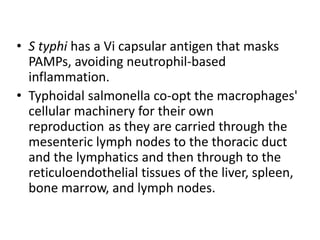 • S typhi has a Vi capsular antigen that masks
PAMPs, avoiding neutrophil-based
inflammation.
• Typhoidal salmonella co-opt the macrophages'
cellular machinery for their own
reproduction as they are carried through the
mesenteric lymph nodes to the thoracic duct
and the lymphatics and then through to the
reticuloendothelial tissues of the liver, spleen,
bone marrow, and lymph nodes.
 