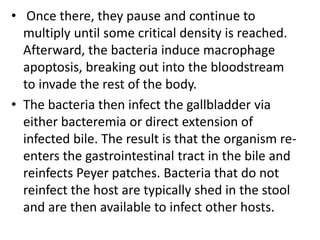 • Once there, they pause and continue to
multiply until some critical density is reached.
Afterward, the bacteria induce macrophage
apoptosis, breaking out into the bloodstream
to invade the rest of the body.
• The bacteria then infect the gallbladder via
either bacteremia or direct extension of
infected bile. The result is that the organism re-
enters the gastrointestinal tract in the bile and
reinfects Peyer patches. Bacteria that do not
reinfect the host are typically shed in the stool
and are then available to infect other hosts.
 