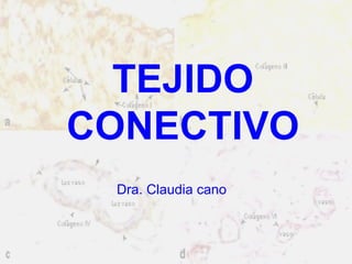 TEJIDO CONECTIVO Dra. Claudia cano 