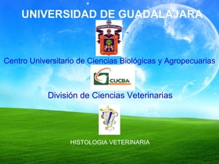 UNIVERSIDAD DE GUADALAJARA Centro Universitario de Ciencias Biológicas y Agropecuarias División de Ciencias Veterinarias HISTOLOGIA VETERINARIA 
