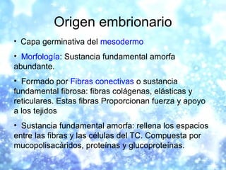 Origen embrionario
• Capa germinativa del mesodermo
• Morfología: Sustancia fundamental amorfa
abundante.
• Formado por Fi...
