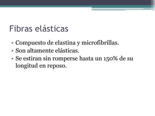 Fibras elásticas
• Compuesto de elastina y microfibrillas.
• Son altamente elásticas.
• Se estiran sin romperse hasta un 150% de su
longitud en reposo.
 