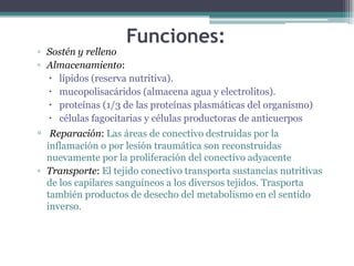 ▫ Sostén y relleno
▫ Almacenamiento:
 lípidos (reserva nutritiva).
 mucopolisacáridos (almacena agua y electrolitos).
 proteínas (1/3 de las proteínas plasmáticas del organismo)
 células fagocitarias y células productoras de anticuerpos
▫ Reparación: Las áreas de conectivo destruidas por la
inflamación o por lesión traumática son reconstruidas
nuevamente por la proliferación del conectivo adyacente
▫ Transporte: El tejido conectivo transporta sustancias nutritivas
de los capilares sanguíneos a los diversos tejidos. Trasporta
también productos de desecho del metabolismo en el sentido
inverso.
Funciones:
 