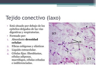 Tejido conectivo (laxo)
• Está situado por debajo de los
epitelios delgados de las vías
digestivas y respiratorias.
• Formado por:
1. Abundante densidad
celular.
2. Fibras colágenas y elásticas
3. Líquido extracelular.
4. Células fijas: fibroblastos,
células adiposas,
macrófagos, células cebadas
e indiferenciadas.
 