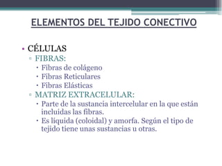 ELEMENTOS DEL TEJIDO CONECTIVO
• CÉLULAS
▫ FIBRAS:
 Fibras de colágeno
 Fibras Reticulares
 Fibras Elásticas
▫ MATRIZ EXTRACELULAR:
 Parte de la sustancia intercelular en la que están
incluidas las fibras.
 Es líquida (coloidal) y amorfa. Según el tipo de
tejido tiene unas sustancias u otras.
 