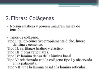 2.Fibras: Colágenas
• No son elásticas y poseen una gran fuerza de
tensión.
• Tipos de colágeno:
Tipo I: tejido conectivo propiamente dicho, hueso,
dentina y cemento.
Tipo II: cartílagos hialino y elástico.
Tipo III: fibras reticulares.
Tipo IV: lámina densa de la lámina basal.
Tipo V: relacionado con la colágeno tipo I y observada
en la palacenta.
Tipo VII: une la lámina basal a la lámina reticular.
 