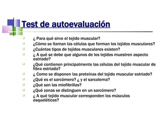Test de autoevaluación ¿ Para qué sirve el tejido muscular? ¿Cómo se llaman las células que forman los tejidos musculares? ¿Cuántos tipos de tejidos musculares existen? ¿ A qué se debe que algunos de los tejidos muestren aspecto estriado? ¿Qué contienen principalmente las células del tejido muscular de fibra estriada? ¿ Como se disponen las proteínas del tejido muscular estriado? ¿Qué es el sarcómero? ¿ y el sarcolema? ¿Qué son las miofibrillas?  ¿Qué zonas se distinguen en un sarcómero? ¿ A qué tejido muscular corresponden los músculos esqueléticos? 