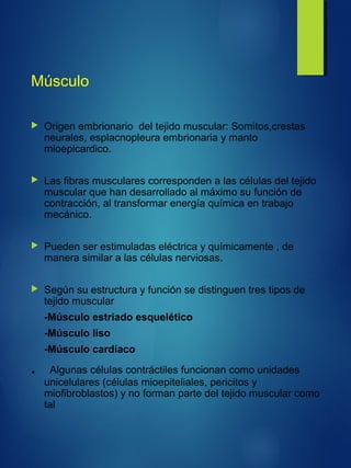 Músculo
 Origen embrionario del tejido muscular: Somitos,crestas
neurales, esplacnopleura embrionaria y manto
mioepicardico.
 Las fibras musculares corresponden a las células del tejido
muscular que han desarrollado al máximo su función de
contracción, al transformar energía química en trabajo
mecánico.
 Pueden ser estimuladas eléctrica y químicamente , de
manera similar a las células nerviosas.
 Según su estructura y función se distinguen tres tipos de
tejido muscular
-Músculo estriado esquelético
-Músculo liso
-Músculo cardíaco
. Algunas células contráctiles funcionan como unidades
unicelulares (células mioepiteliales, pericitos y
miofibroblastos) y no forman parte del tejido muscular como
tal
 