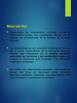 Músculo lisoMúsculo liso
 Especializado en contracciones contínuas, de fuerza
relativamente escasa, con movimientos difusos que se
traducen en contracciones de la totalidad de la masa
muscular.
 La contractilidad es una propiedad inherente al músculo
liso y ocurre independiente de la inervación nerviosa.
Además está influenciado por el sistema nerviosos
autónomo, las hormonas y los metabolitos locales que
modulan la contracción para adaptarse a las demandas
funcionales cambiantes.
 Las células son relativamente pequeñas y sólo tienen un
núcleo. Las fibras se mantienen unidas formando
fascículos ramificados irregulares, cuya organización varía
según el órgano y necesidades funcionales.
 