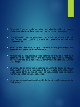  Entre las fibras musculares existe un delicado tejido de sostén
equivalente al endomisio, que conduce la densa red capilar.
 La organización de las proteínas contráctiles es similar a la del
músculo esquelético, por lo que también presentan estriaciones
transversales.
 Esto ultimo equivale a que también estén presentes los
sarcomeros, como unidad contráctil.
 Al igual que m. esquelético, posee sistema de túbulos T y retículo
sarcoplásmico, pero aquí forma pequeñas expansiones aisladas,
en los extremos de la red tubular, formandose Diadas EN LUGAR
DE Triadas.
 El transporte de calcio debe hacerse activamente desde el liquido
extracelular ,ya que la capacidad de las células para almacenar
iones calcio dentro de los retículos sarcoplasmicos lisos es mucho
menor que en las fibras esqueléticas .
 La concentración de calcio suficiente dentro de la célula generará la
contracción.
 