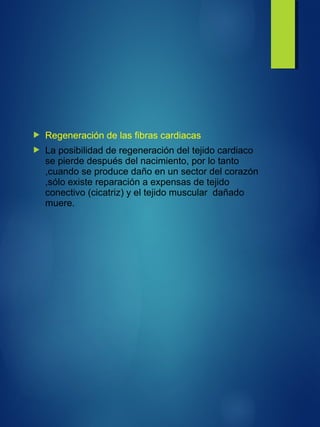 Regeneración de las fibras cardiacas
 La posibilidad de regeneración del tejido cardiaco
se pierde después del nacimiento, por lo tanto
,cuando se produce daño en un sector del corazón
,sólo existe reparación a expensas de tejido
conectivo (cicatriz) y el tejido muscular dañado
muere.
 