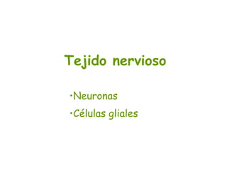 Tejido nervioso
•Neuronas
•Células gliales
 