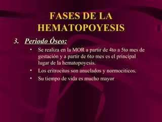 FASES DE LAFASES DE LA
HEMATOPOYESISHEMATOPOYESIS
3.3. Periodo Óseo:Periodo Óseo:
• Se realiza en la MOR a partir de 4to a 5to mes de
gestación y a partir de 6to mes es el principal
lugar de la hematopoyesis.
• Los eritrocitos son anuclados y normociticos.
• Su tiempo de vida es mucho mayor
 