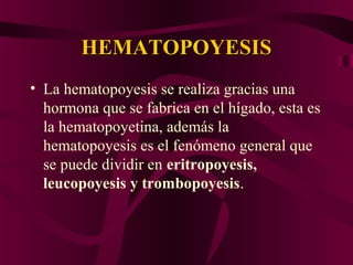HEMATOPOYESISHEMATOPOYESIS
• La hematopoyesis se realiza gracias una
hormona que se fabrica en el hígado, esta es
la hematopoyetina, además la
hematopoyesis es el fenómeno general que
se puede dividir en eritropoyesis,
leucopoyesis y trombopoyesis.
 