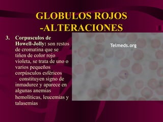 GLOBULOS ROJOSGLOBULOS ROJOS
-ALTERACIONES-ALTERACIONES
3.3. Corpusculos deCorpusculos de
Howell-Jolly:Howell-Jolly: son restos
de cromatina que se
tiñen de color rojo
violeta, se trata de uno o
varios pequeños
corpúsculos esféricos
constituyen signo de
inmadurez y aparece en
algunas anemias
hemolíticas, leucemias y
talasemias
 