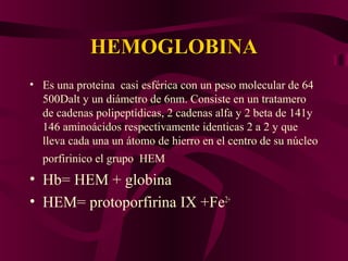 HEMOGLOBINAHEMOGLOBINA
• Es una proteina casi esférica con un peso molecular de 64
500Dalt y un diámetro de 6nm. Consiste en un tratamero
de cadenas polipeptídicas, 2 cadenas alfa y 2 beta de 141y
146 aminoácidos respectivamente identicas 2 a 2 y que
lleva cada una un átomo de hierro en el centro de su núcleo
porfirinico el grupo HEM
• Hb= HEM + globina
• HEM= protoporfirina IX +Fe2+
 