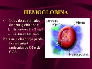 HEMOGLOBINAHEMOGLOBINA
• Los valores normales
de hemoglobina son:
1. En varones: 14+-2 mg%
2. En damas: 13+-2m%
Nota un globulo rojo puede
llevar hasta 4
moleculas de O2 o de
CO2.
 