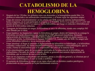 CATABOLISMO DE LACATABOLISMO DE LA
HEMOGLOBINAHEMOGLOBINA
• Después de los 120 días, los glóbulos rojos son destruidos y la hemoglobina queda libre. La
globina es reduciada a sus aminoácidos constituyentes, y el hemo sigue las siguientes etapas:
• Etapa del sistema retículoendotelial: en las células del SER existe un sistema multienzimático
hemo-oxigenasa, en el cual participan el oxigeno y el NADPH. El Fe+2 se oxida a Fe+3, y el C del
puente metilo a CO. El Fe+3 se separa y forma biliverdina, que luego es reducida a bilirrubina por
acción de la biliverdina reductasa.
• Transporte de bilirrubina en sangre: la bilirrubina se une a la albúmina, siendo este complejo NO
ultra filtrado por el riñón.
• Etapa hepática: los hepatocitos captan la bilirrubina en sangre, dentro del hepatocito se conjuga la
bilirrubina con ácido glucurónico, por acción de la UDP-glucuronil-transferasa, formando
diglucurónido de bilirrubina o BILIRRUBINA DIRECTA, que es soluble en medio acuoso y se
elimina por la bilis. La bilirrubina es llamada INDIRECTA, cuando sale del SER. En sangre solo
existe bilirrubina indirecta y no se excreta por orina.
• Etapa intestinal: al llegar la intestino el diglucurónido de bilirrubina es hidrolizado, y la bilirrubina
sometida a reducciones. Se forma mesobilirrubinógeno y finalmente a estercobilinógeno, que se
oxida y forma la estercobilina que es la responsable del color de la materia fecal.
• Ciclo enterohepático: parte de los productos derivados de la reducción de la bilirrubina, son
reabsorbidos y llevados de vuelta al hígado, donde se generará nuevamente diglucurónido de
bilirrubina, que se excreta de nuevo con la bilis.
• Parte de los pigmentos reabsorbidos del intestino, pasan a circulación general y se eliminan por el
riñón como urobilinógeno, el cual se oxida a urobilina.
• El aumento de bilirrubina en sangre es un signo observado en distintos cuadros patológicos,
produciendo un tinte amarillo en la piel denominado ictericia.
 