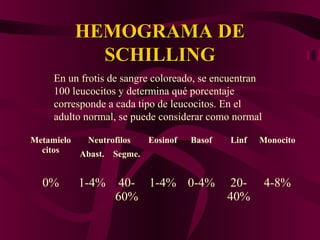 HEMOGRAMA DEHEMOGRAMA DE
SCHILLINGSCHILLING
Metamielo
citos
Neutrofilos Eosinof Basof Linf Monocito
Abast. Segme.
0% 1-4% 40-
60%
1-4% 0-4% 20-
40%
4-8%
En un frotis de sangre coloreado, se encuentran
100 leucocitos y determina qué porcentaje
corresponde a cada tipo de leucocitos. En el
adulto normal, se puede considerar como normal
 
