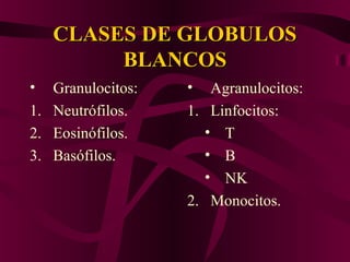 CLASES DE GLOBULOSCLASES DE GLOBULOS
BLANCOSBLANCOS
• Granulocitos:
1. Neutrófilos.
2. Eosinófilos.
3. Basófilos.
• Agranulocitos:
1. Linfocitos:
• T
• B
• NK
2. Monocitos.
 