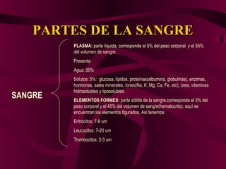 PARTES DE LA SANGREPARTES DE LA SANGRE
SANGRE
PLASMA: parte líquida, corresponde el 5% del peso corporal y el 55%
del volumen de sangre.
Presenta:
Agua: 95%
Solutos: 5%: glucosa, lípidos, proteínas(albumina, globulinas), enzimas,
hormonas, sales minerales, iones(Na, K, Mg, Ca, Fe, etc), úrea, vitaminas
hidrosolubles y liposolubles.
ELEMENTOS FORMES: parte sólida de la sangre,corresponde el 3% del
peso corporal y el 45% del volumen de sangre(hematocrito), aquí se
encuentran los elementos figurados. Así tenemos:
Eritrocitos: 7-8 um
Leucocitos: 7-20 um
Trombocitos: 2-3 um
 