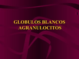 GLOBULOS BLANCOSGLOBULOS BLANCOS
AGRANULOCITOSAGRANULOCITOS
 