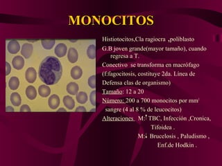 MONOCITOSMONOCITOS
Histiotocitos,Cla ragiocra ,poliblasto
G.B joven grande(mayor tamaño), cuando
regresa a T.
Conectivo se transforma en macrófago
(f:fagocitosis, costituye 2da. Línea de
Defensa clas de organismo)
Tamaño: 12 a 20
Número: 200 a 700 monocitos por mm3
sangre (4 al 8 % de leucocitos)
Alteraciones M: TBC, Infección ,Cronica,
Tifoidea .
M: Brucelosis , Paludismo ,
Enf.de Hodkin .
 