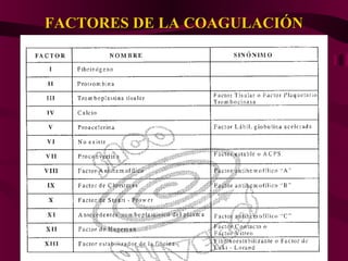 FACTORES DE LA COAGULACIÓNFACTORES DE LA COAGULACIÓN
 