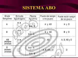SISTEMA ABOSISTEMA ABO
 