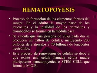 HEMATOPOYESISHEMATOPOYESIS
• Proceso de formación de los elementos formes del
sangre. En el adulto la mayor parte de los
leucocitos y la totalidad de los eritrocitos y
trombocitos se forman en la médula ósea.
• Se calcula que una persona de 70kg cada día se
producen un trillon de células, incluyendo 200
billones de eritrocitos y 70 billones de leucocitos
neutrófilos.
• Este proceso de renovación de células se debe a
que existe una célula llamada célula madre
pluripotente hematopoyetica o STEM CELL que
forma la M.O.R.
 
