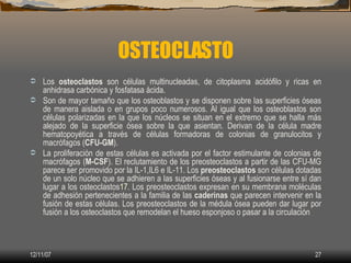 OSTEOCLASTO
  Los osteoclastos son células multinucleadas, de citoplasma acidófilo y ricas en

  anhidrasa carbónica y fo...