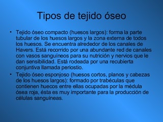 Tipos de tejido óseo Tejido óseo compacto (huesos largos): forma la parte tubular de los huesos largos y la zona externa de todos los huesos. Se encuentra alrededor de los canales de Havers. Está recorrido por una abundante red de canales con vasos sanguíneos para su nutrición y nervios que le dan sensibilidad. Está rodeada por una recubierta conjuntiva llamada periostio. Tejido óseo esponjoso (huesos cortos, planos y cabezas de los huesos largos): formado por trabéculas que contienen huecos entre ellas ocupadas por la médula ósea roja, ésta es muy importante para la producción de células sanguíneas.  