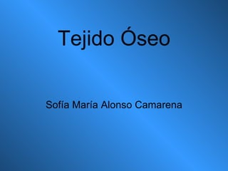 Tejido Óseo Sofía María Alonso Camarena 